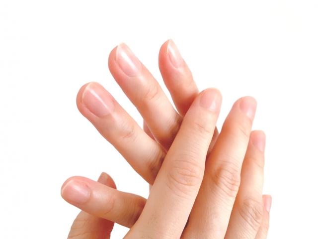 素材づくりコース​イメージ